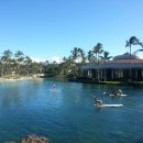 오션타워 이미지