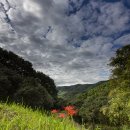 옥룡사지 이미지