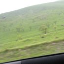 도천목장 이미지