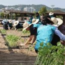 한국마사회 - 시흥시 | 한국마사회