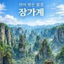 장가계 티스토리