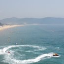완도바다로 이미지