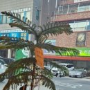 홍구등갈비 군산점 이미지