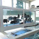 남해-195 이미지