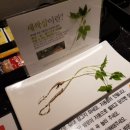 투썸(TWOSOME)모텔 이미지