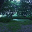 NR-30[달구벌대로]-하-32 이미지