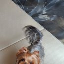 러블리주니 이미지