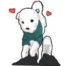 아이라스튜디오