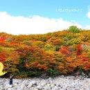 (주)천아