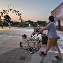 진세탁마트 | 경기 시흥시 친환경세탁업체아이자리 폼포라 디럭스 웨건 깨끗해진 세탁 후기