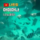 WITH 어린이수영장 | 나트랑 아미아나 리조트 수영장 스노쿨링 꿀팁 솔직후기
