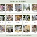 약동초등학교 이미지