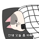 마린포트리조트 이미지