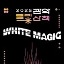 별빛처럼