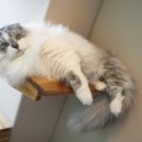 찰리호텔 이미지