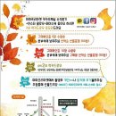 후니마켓 네이버블로그