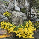 방배로25길 54-9 이미지