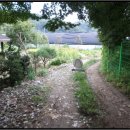 내곡동271 이미지