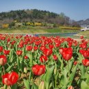 삼학도 중앙공원 이미지