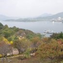 청풍바이오