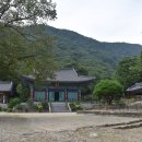사나사 - 1160 | 사나사