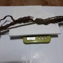 흥안로-12 Daum카페