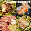 날아라홍돼지 이미지