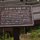 신안수지 이미지