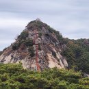 아미산농장 이미지