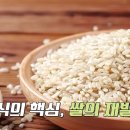[쌀의 재발견] 밥상 위의 주인공, 밥. 하지만 변화하는 식습관 등으로 1인당 쌀 소비량은 꾸준히 줄어들고 있는데. 이미지