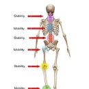 운동케어센터 이미지