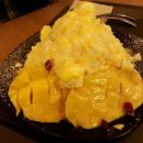 후레쉬미트 이미지