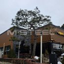 카페4498