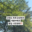 오륙에스티 이미지