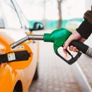 주유전자 이미지