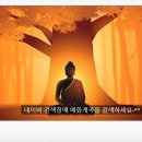 ◆ 12신살 공부하기= 육해살.화개살----매화계곡 이미지