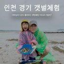 서해양록 종현목장 | 인천 경기도 갯벌체험 장소 5곳, 어디로 가볼까?