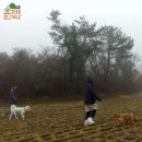해변산책 민박 이미지