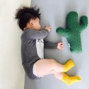 더참맛수육국밥 이미지