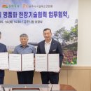 공주채소