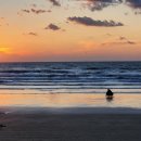 풀빌라이유민박 이미지