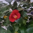 산양파출소 이미지