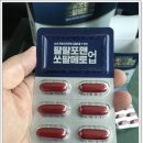 팔팔몰 이미지