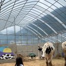 달뜨는마을 이미지