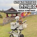 당진관광안내소 | [면천읍성] 충남 당진애견동반 산책하기 좋은 관광지 추천