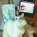 샤이니덴탈 이미지