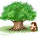종*김* Daum카페