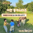 동키투어 이미지