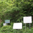 송사리 천지갑산 주차장 이미지