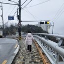 힘쎈호랑이 이미지